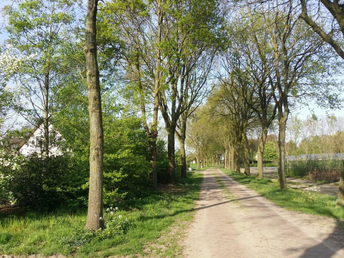 Guesthouse Rijsbergen_Zundert Luaran gambar